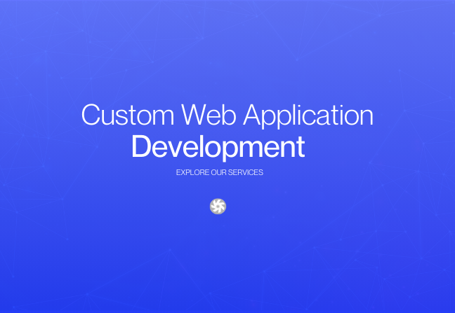 Custom web application development in Nepal
